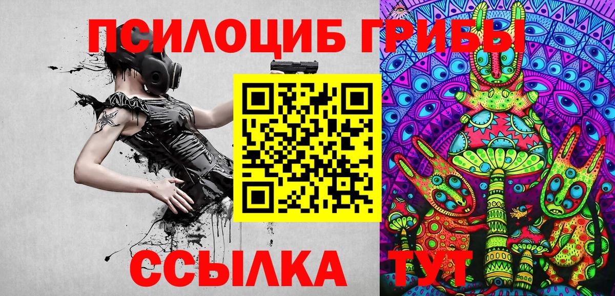 Псилоцибиновые грибы MAGIC MUSHROOMS Заинск