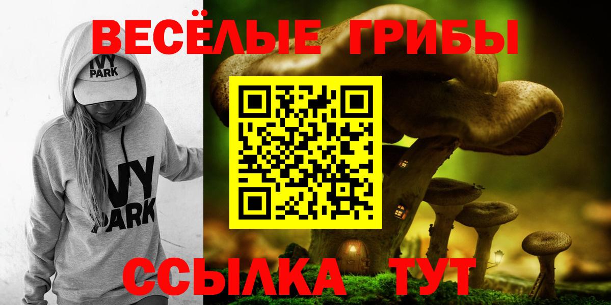 Заинск  где купить наркоту  Вход с VPN  Галлюциногенные грибы мухоморы 